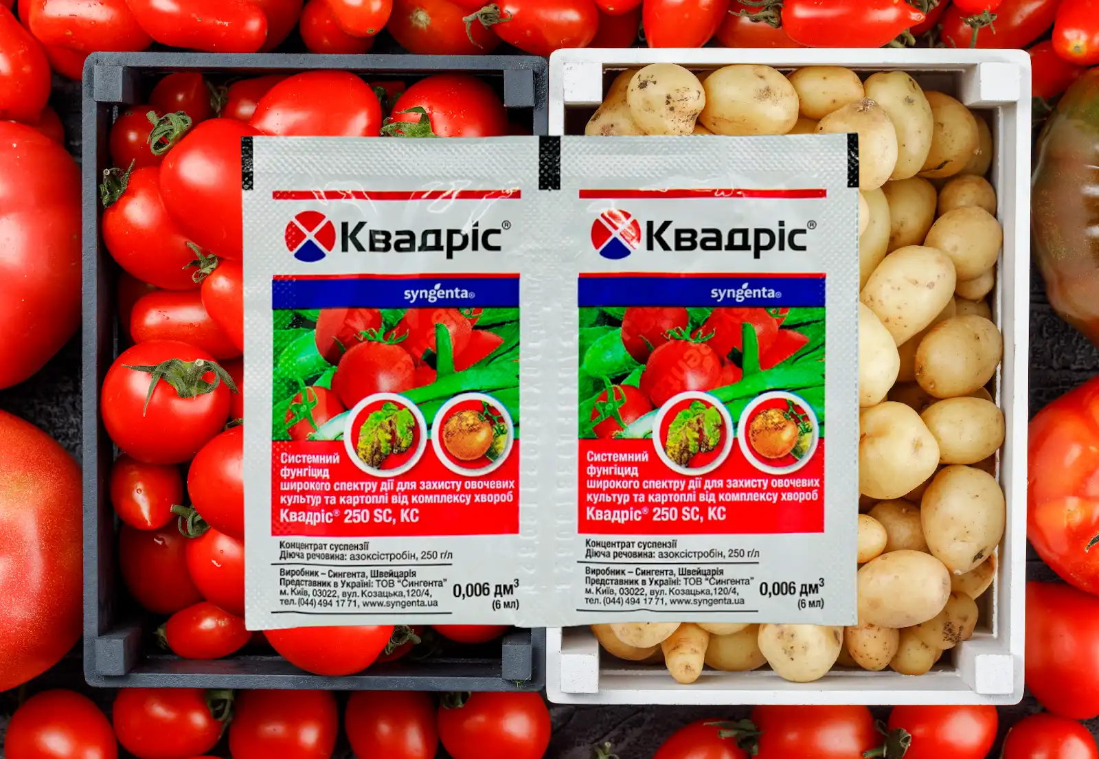 Квадріс: ефективна боротьба з хворобами рослин та покращення врожайності