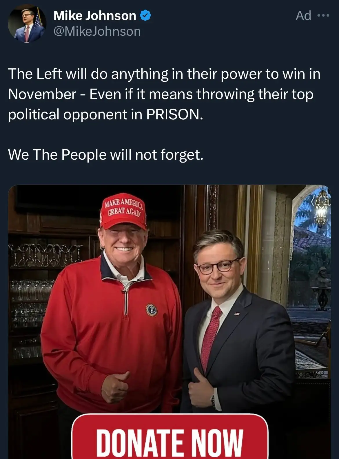 Гибкий Майк