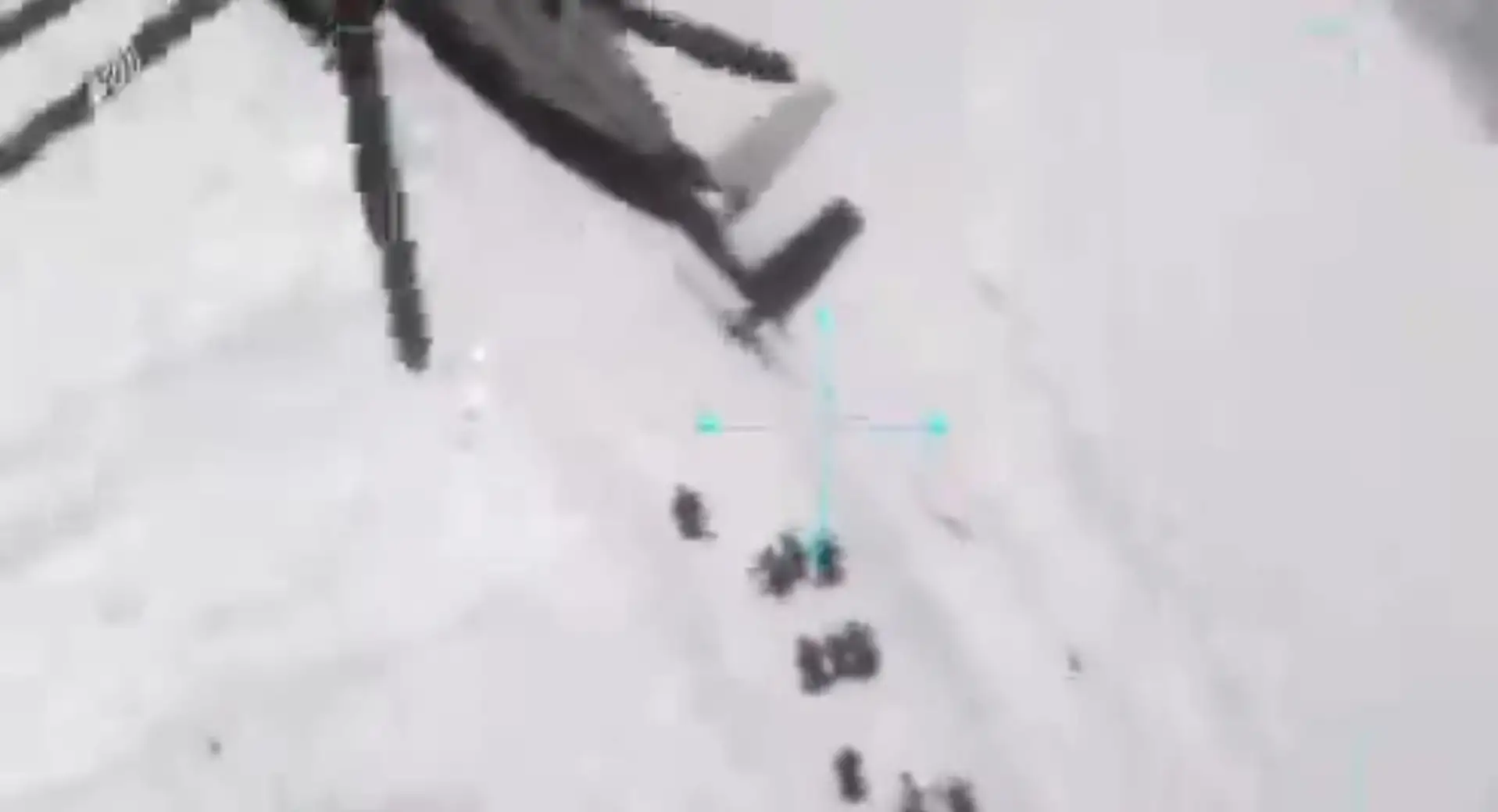 Summer Seeds: совместная операция ЦАХАЛа, ШАБАКа и полиции