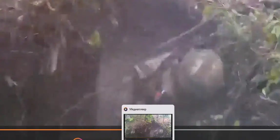 Рожок в голову орка. Красивое..