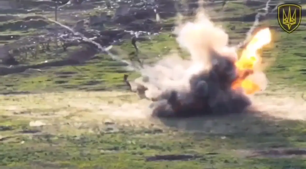 Это души или туши?