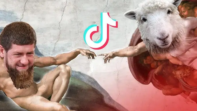 Ахматовские овцелюбы в плену у ВСУ