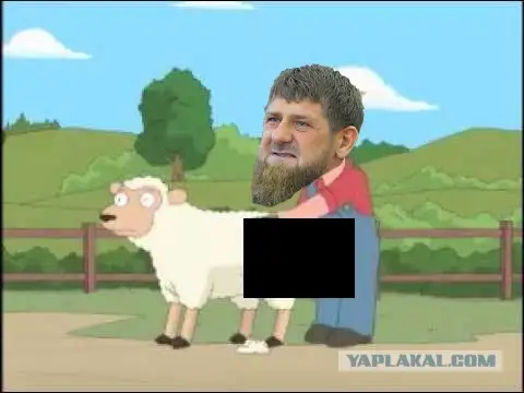 Уничтожение кадыровцев в Белгородской области