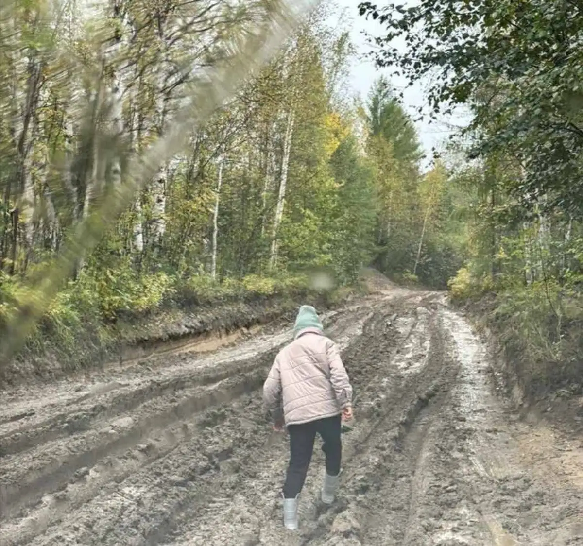 Россия. Болота и ракеты: цена войны