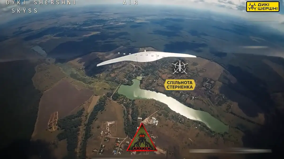 "Дикие шершни": как украинские дроны координируют атаки на российские БПЛА