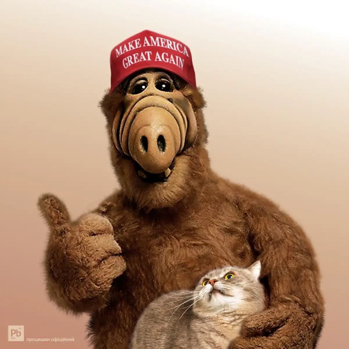 Трампа высмеяли за заявление о поедании кошек и собак: соцсети взорвались музыкальным шедевром