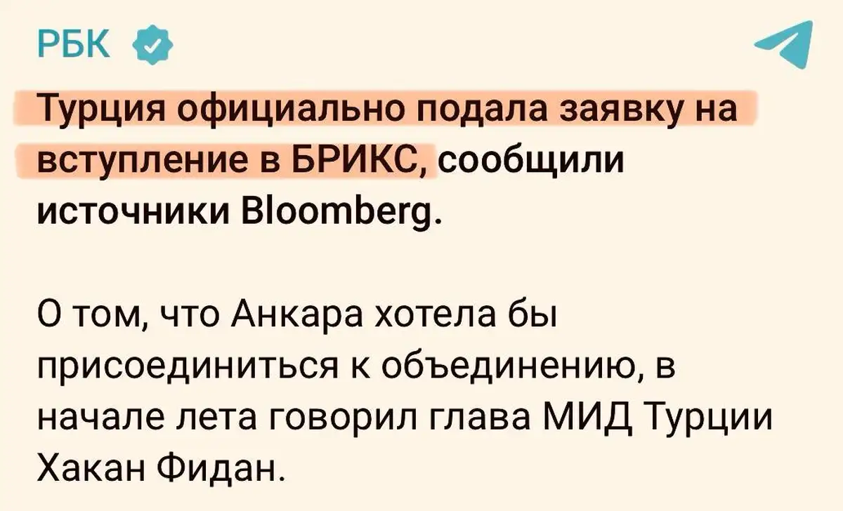 Турция и БРИКС: поиск новых возможностей или политическая игра?