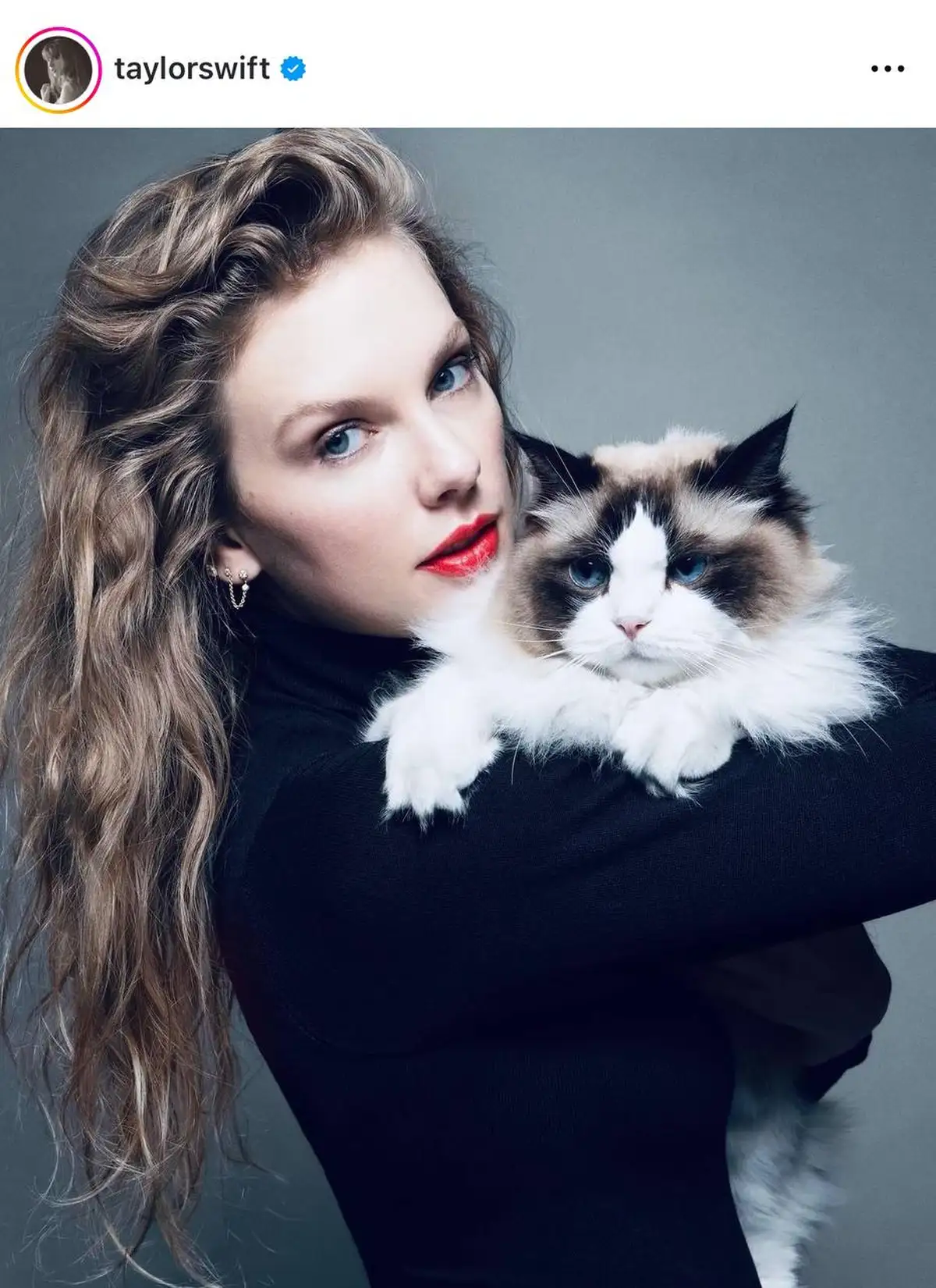 Тейлор Свифт официально поддержала Камалу Харрис