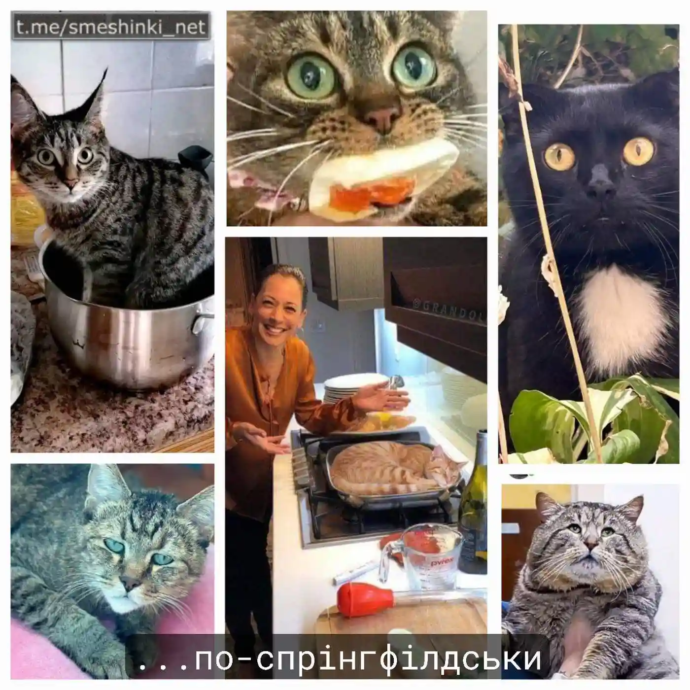 45 5 20240914 153615