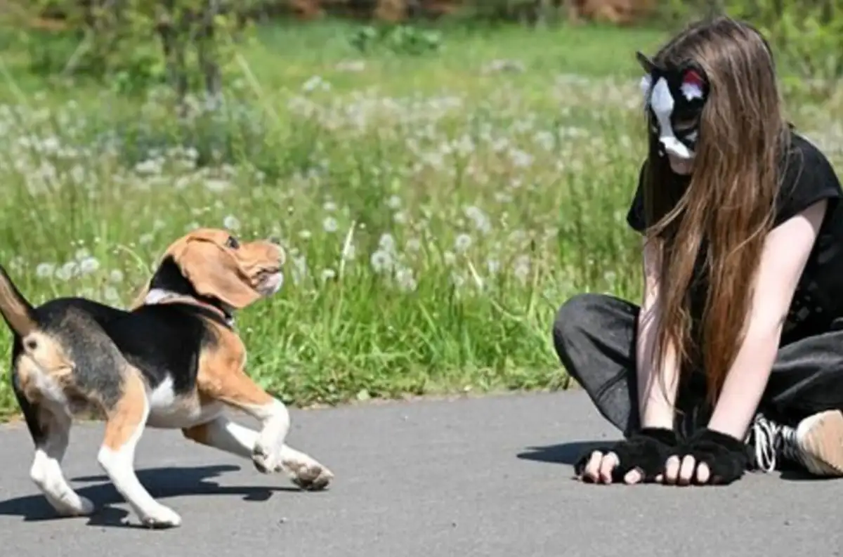 Церковные абсурды квадроберов 1 5 34