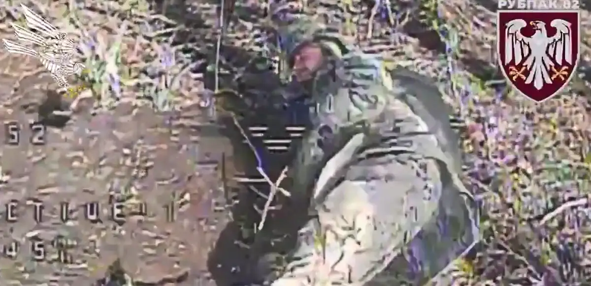 Пипидрончик хочет цьомки