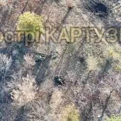 Штурм Курахово: броня и гольфкары 2 3 62