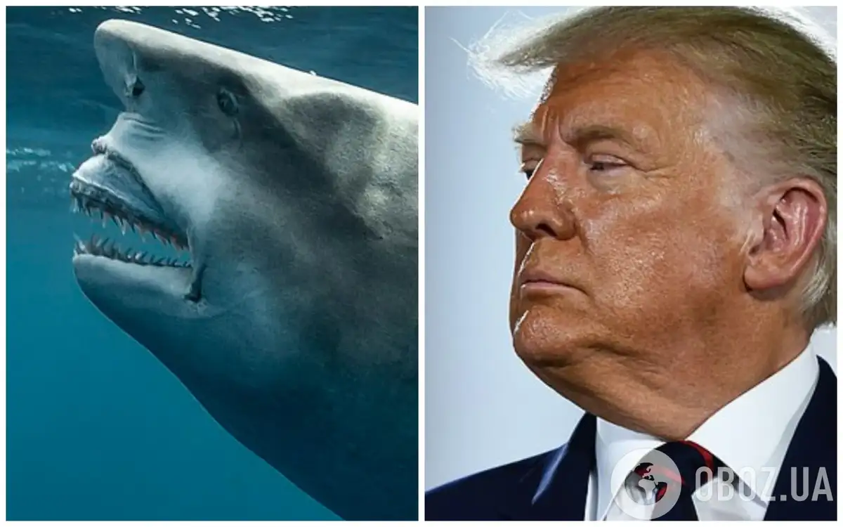 Трамп чувствует слабость