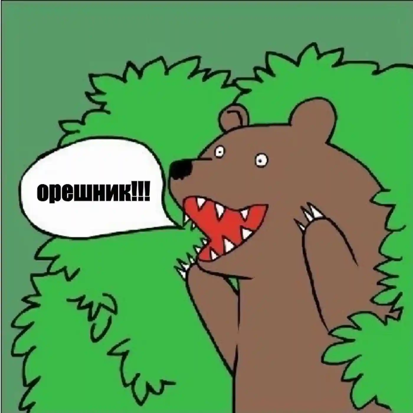 Давайте черкну немного мыслей про Кедр/Орешник