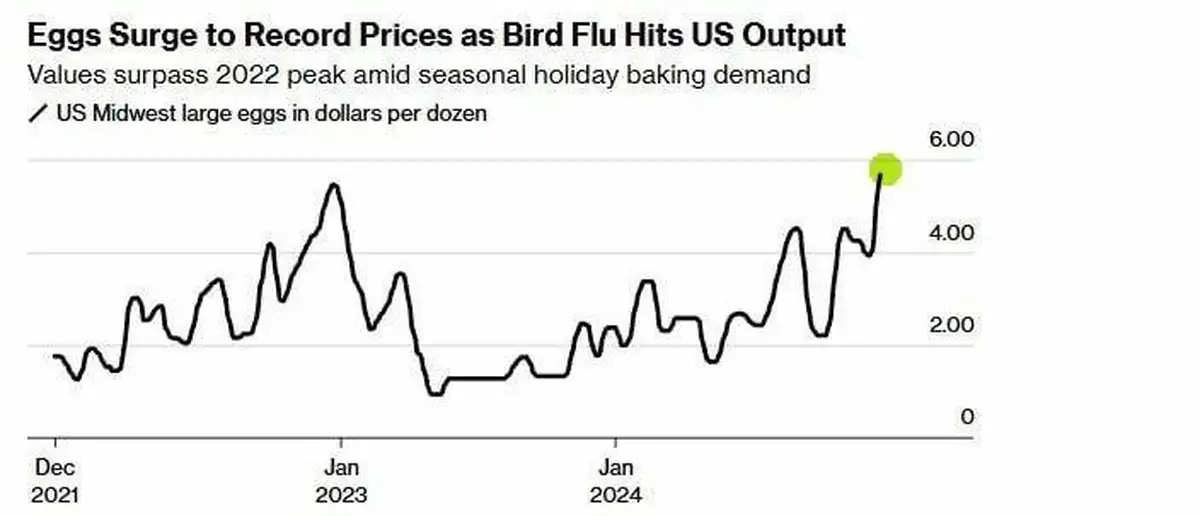 Цены на куриные яйца в США бьют рекорды последних лет.