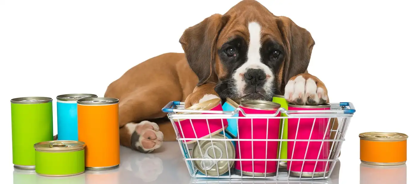 Консервы для собак: как выбрать и как правильно кормить собаку