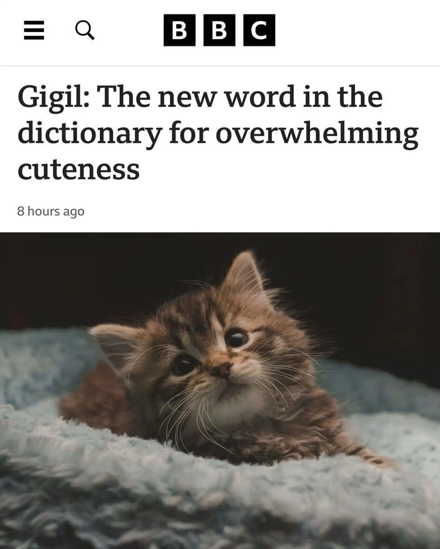 Гигил: когда милота зашкаливает