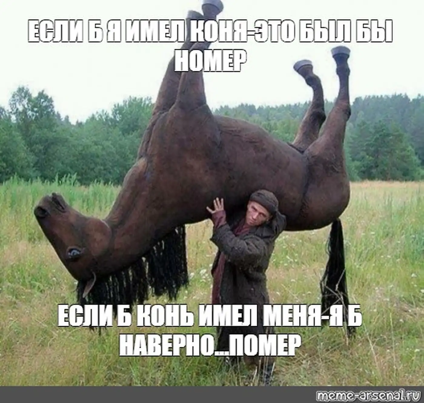 Россия и конь на 9-м этаже: сюрреализм в чистом виде