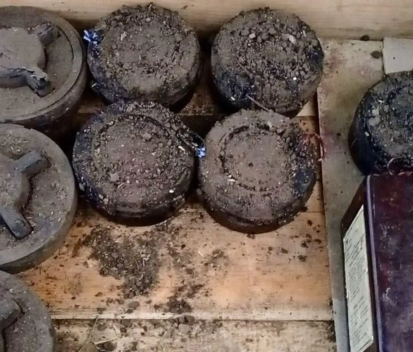 Смертоносный камуфляж