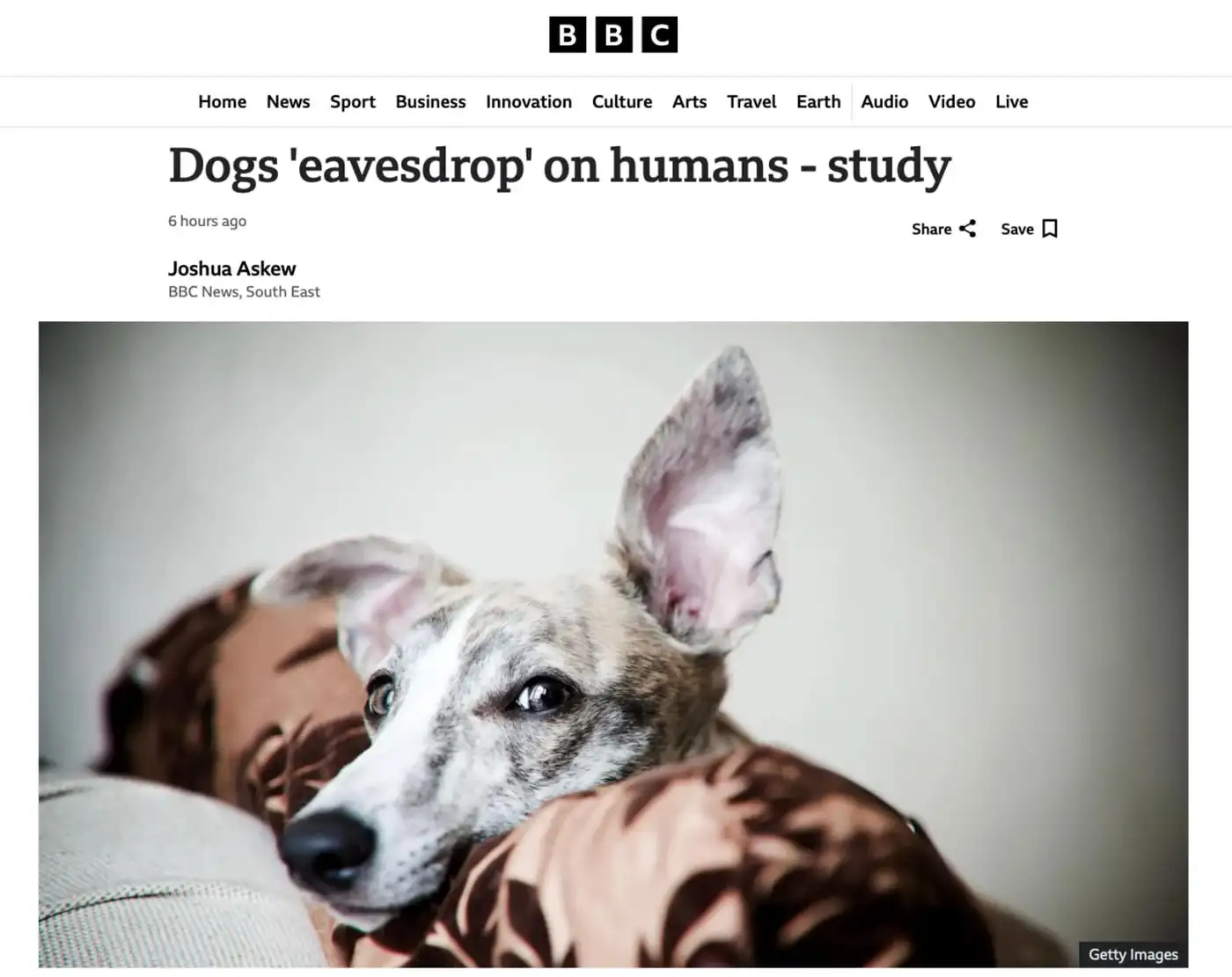 Собаки «подслушивают» нас