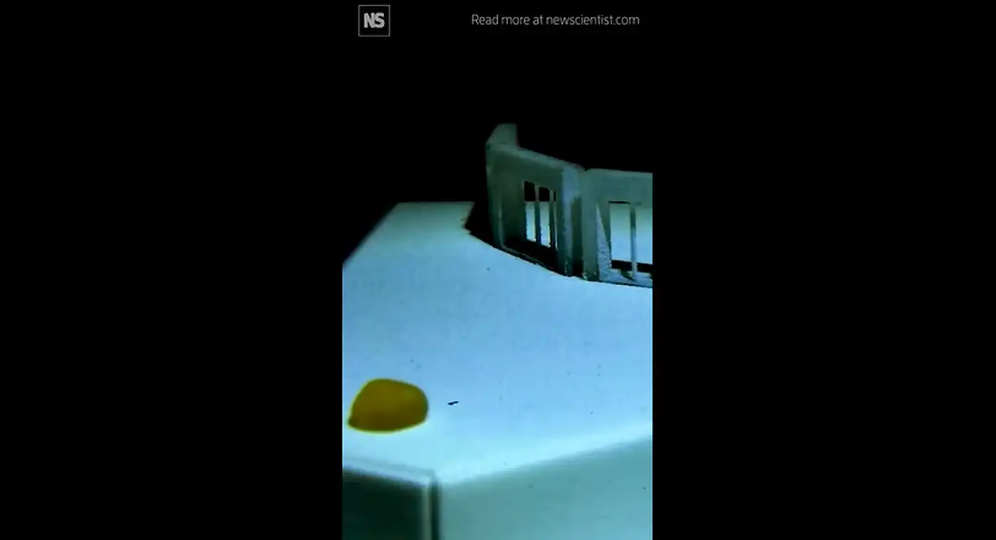 Жидкий робот будущего