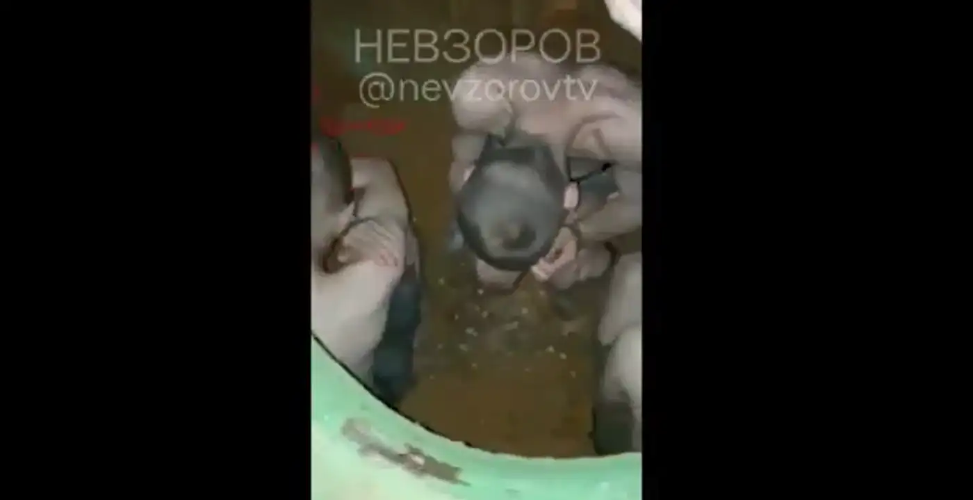 «Брюхо Суровикина»: симфония пытки