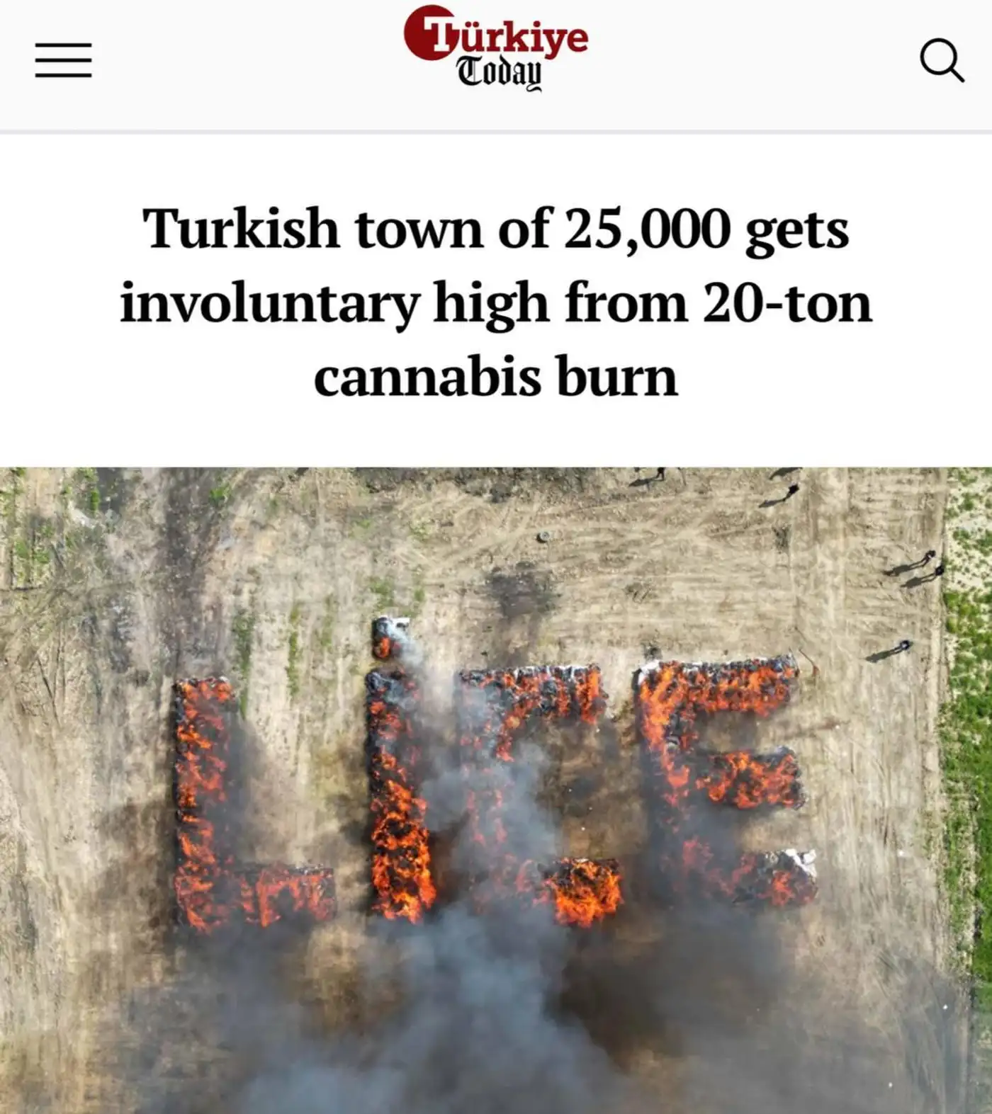 Накрыло весь город: как в Лидже случайно устроили массовый 'каннабис-фест