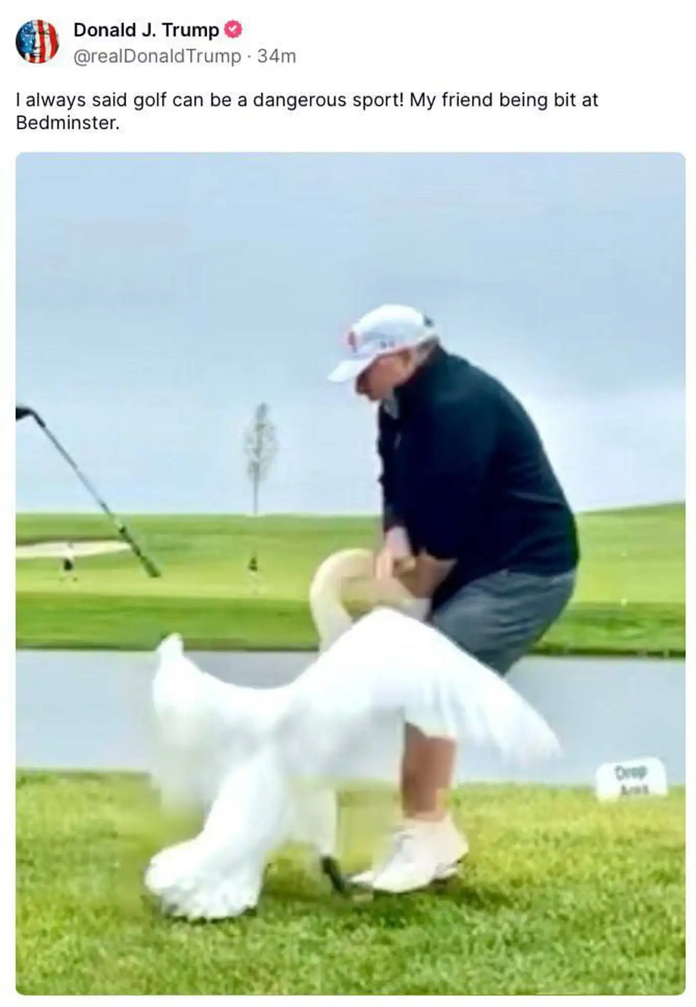 Пока Путин убивает детей, Трамп смеётся над лебедем