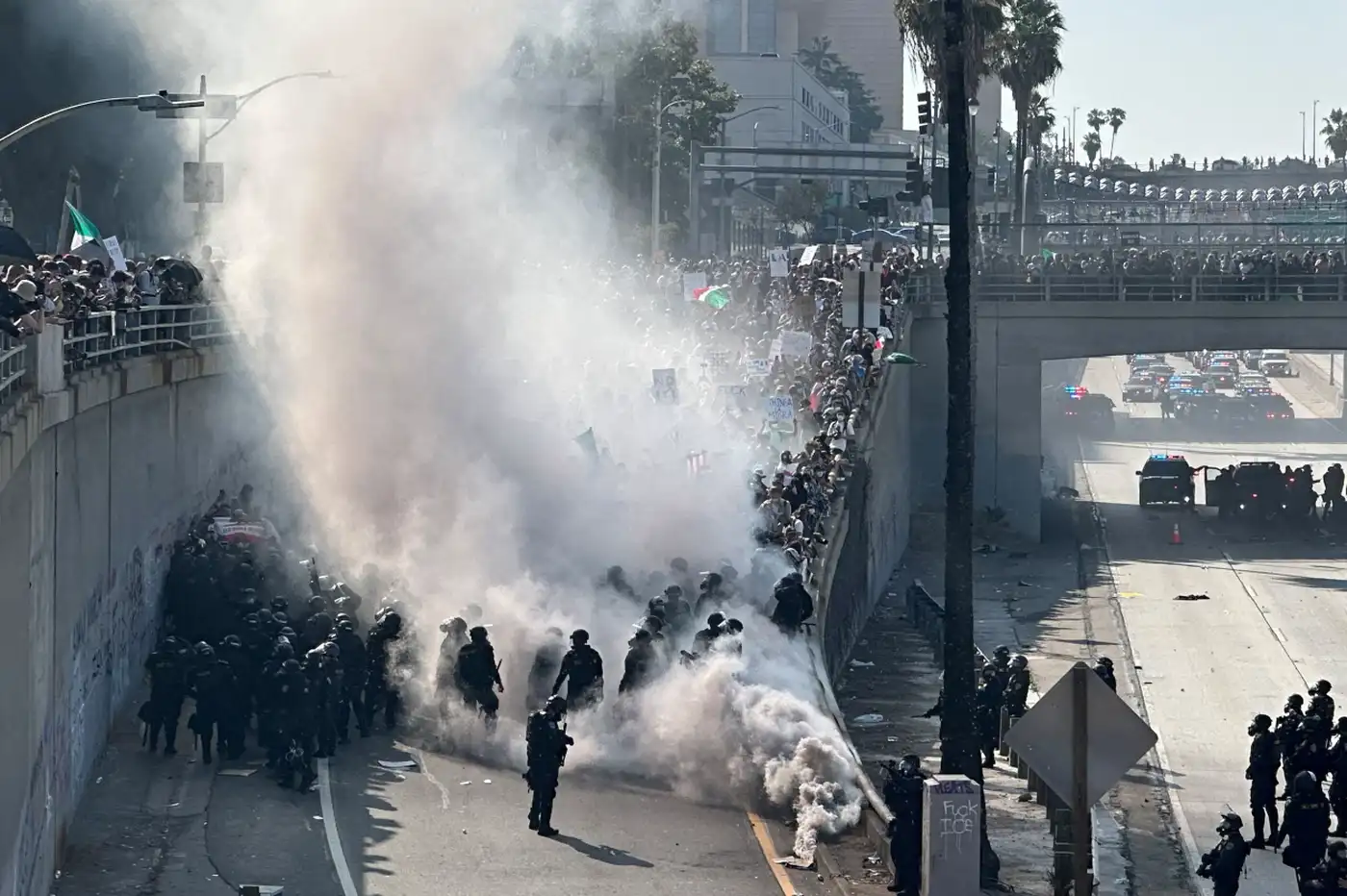 Цель Тампа - поставить на колени Калифорнию