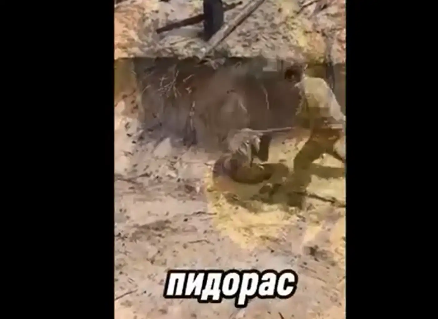 Орк «Стаф» избивает палкой орка «Самара». Бьёт — значит любит..