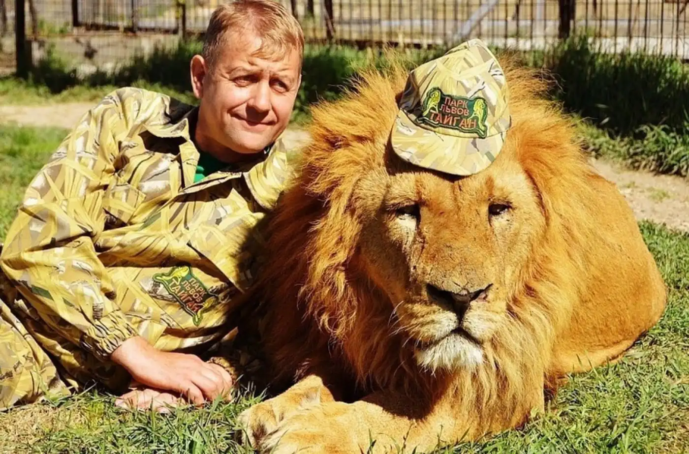 Львы растерзали Зубкова