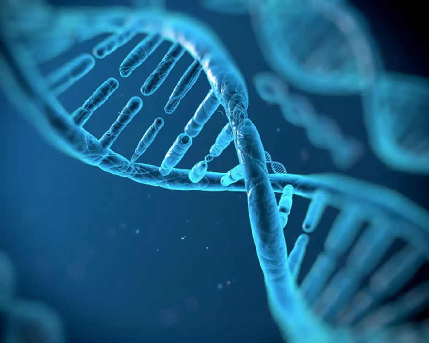 Синтетическая ДНК: путь к замене органов