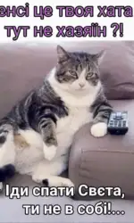 53 5