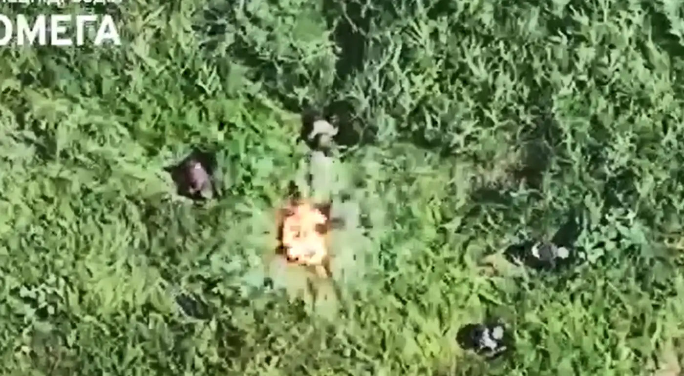 Один точный скид 300-сотит пятерых оккупантов