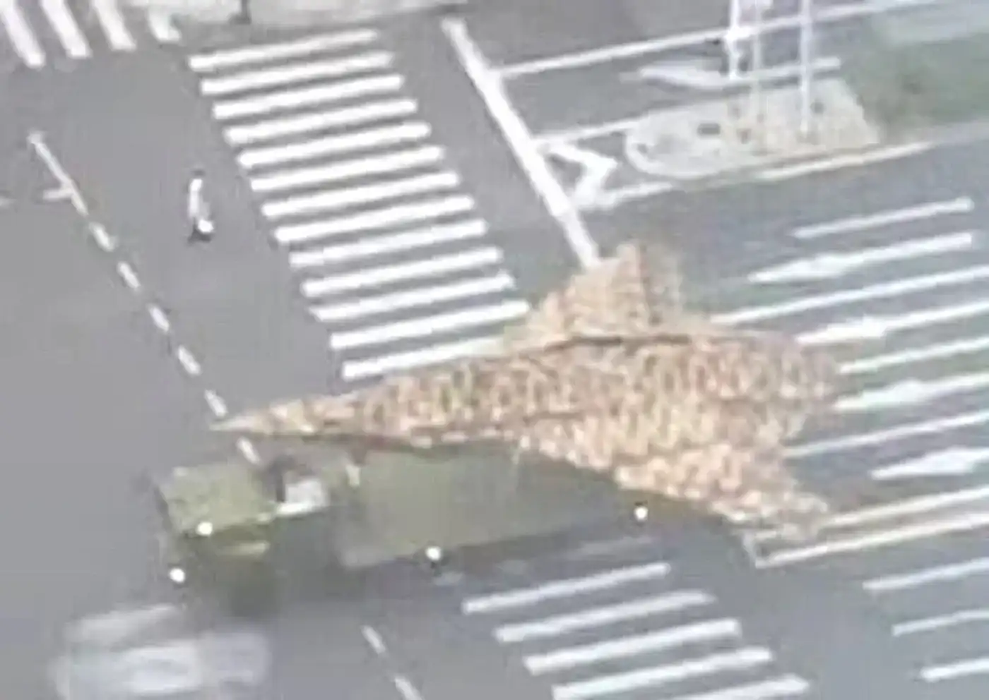 Первые кадры новых китайских боевых дронов появились накануне масштабного военного парада 7 1 447