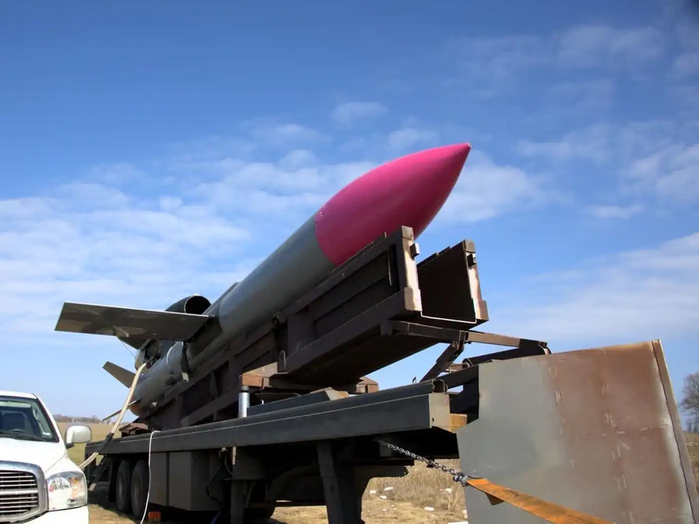 Зачем Politico рассекретило “Розового фламинго”?