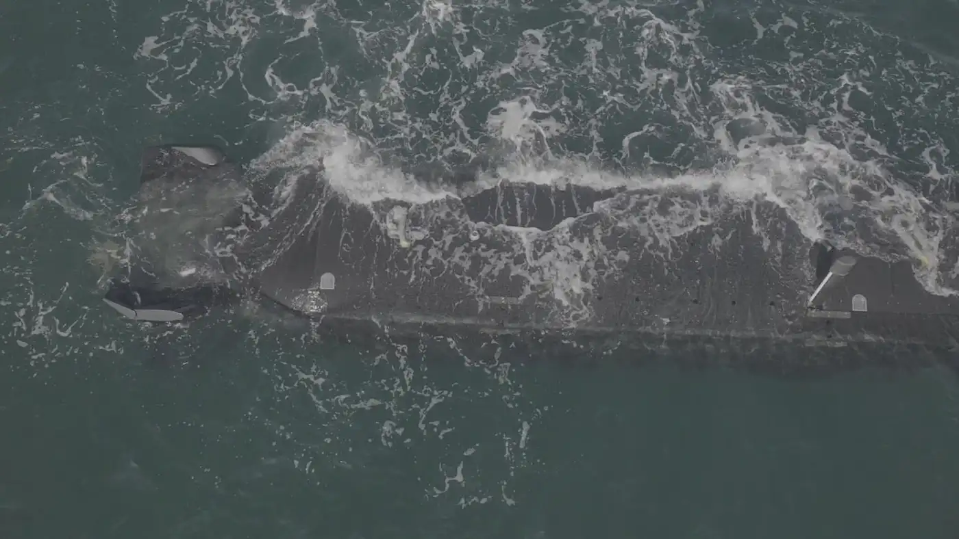 Австралия управляет британской субмариной с расстояния 16 000 км