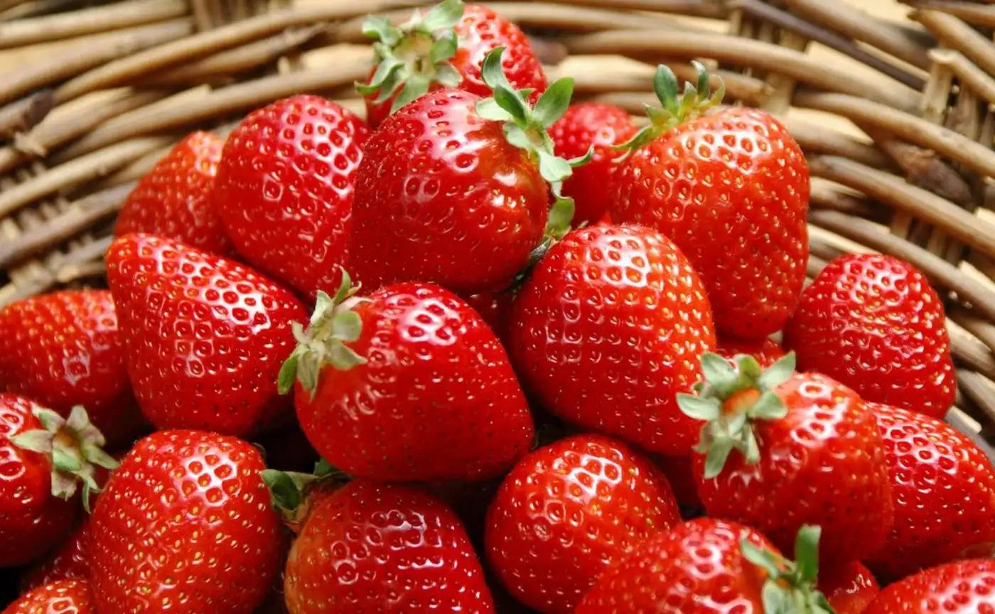 Клубника оптом: особенности закупки и преимущества для бизнеса