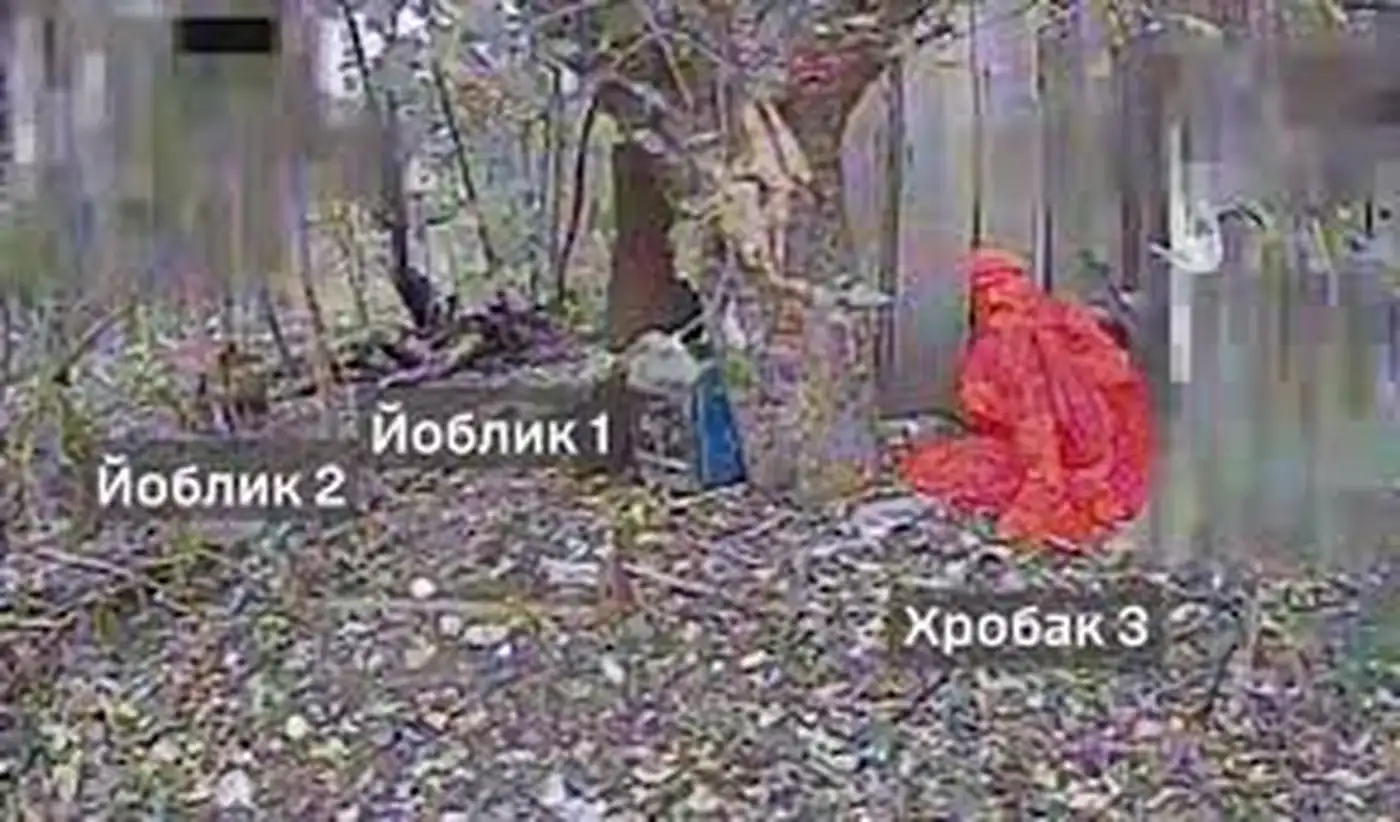 Из года потерянных возможностей в год создания тотальной килл-зоны