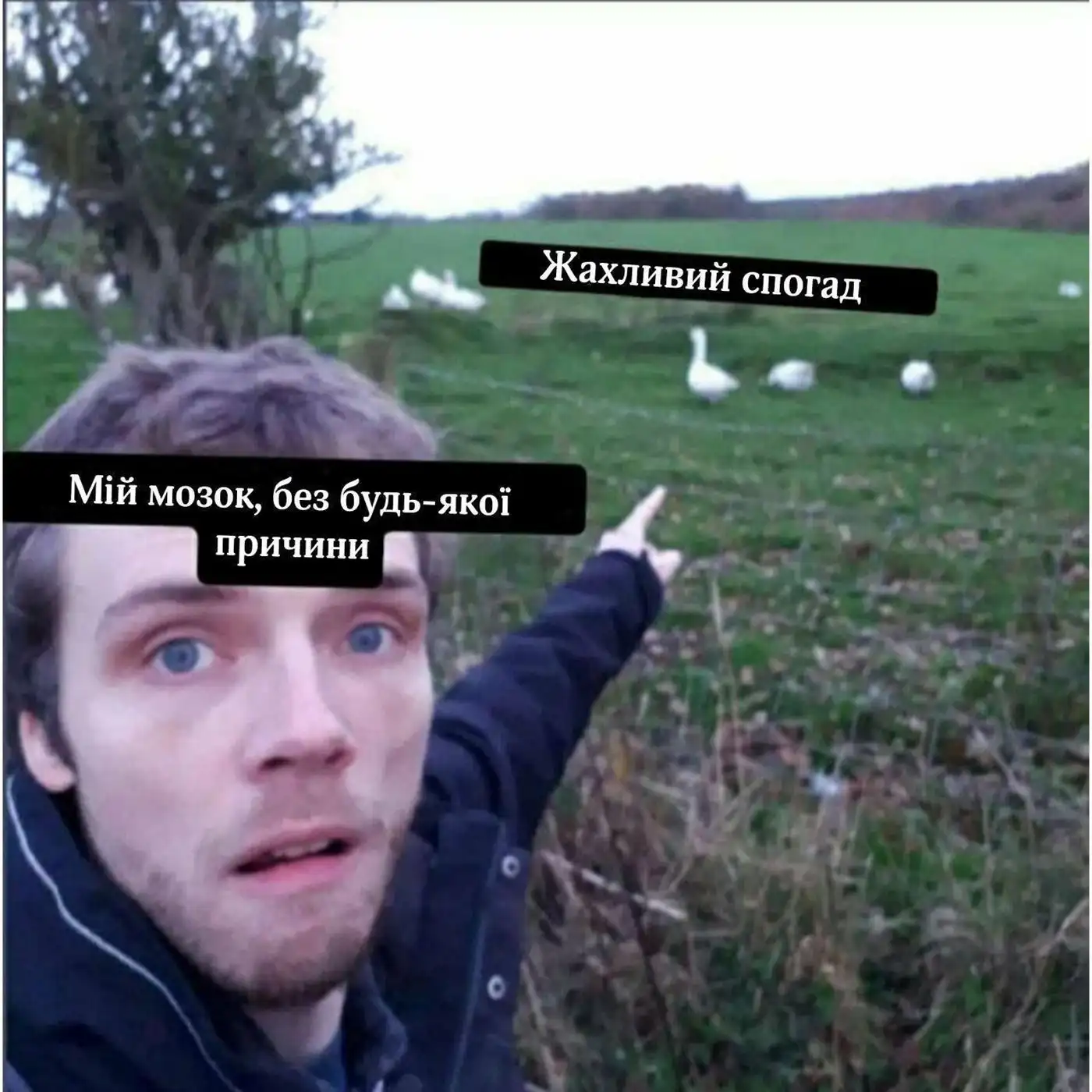 Доставка квітів: зручність, швидкість та емоції в подарунок