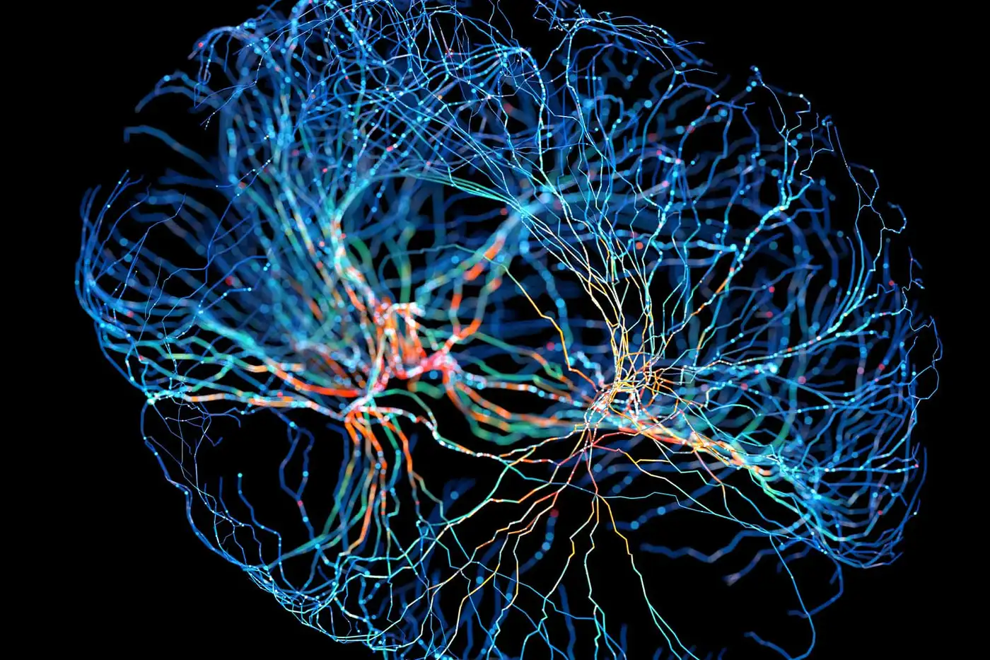 Нейропластичність: чи можна "перенавчити" мозок?