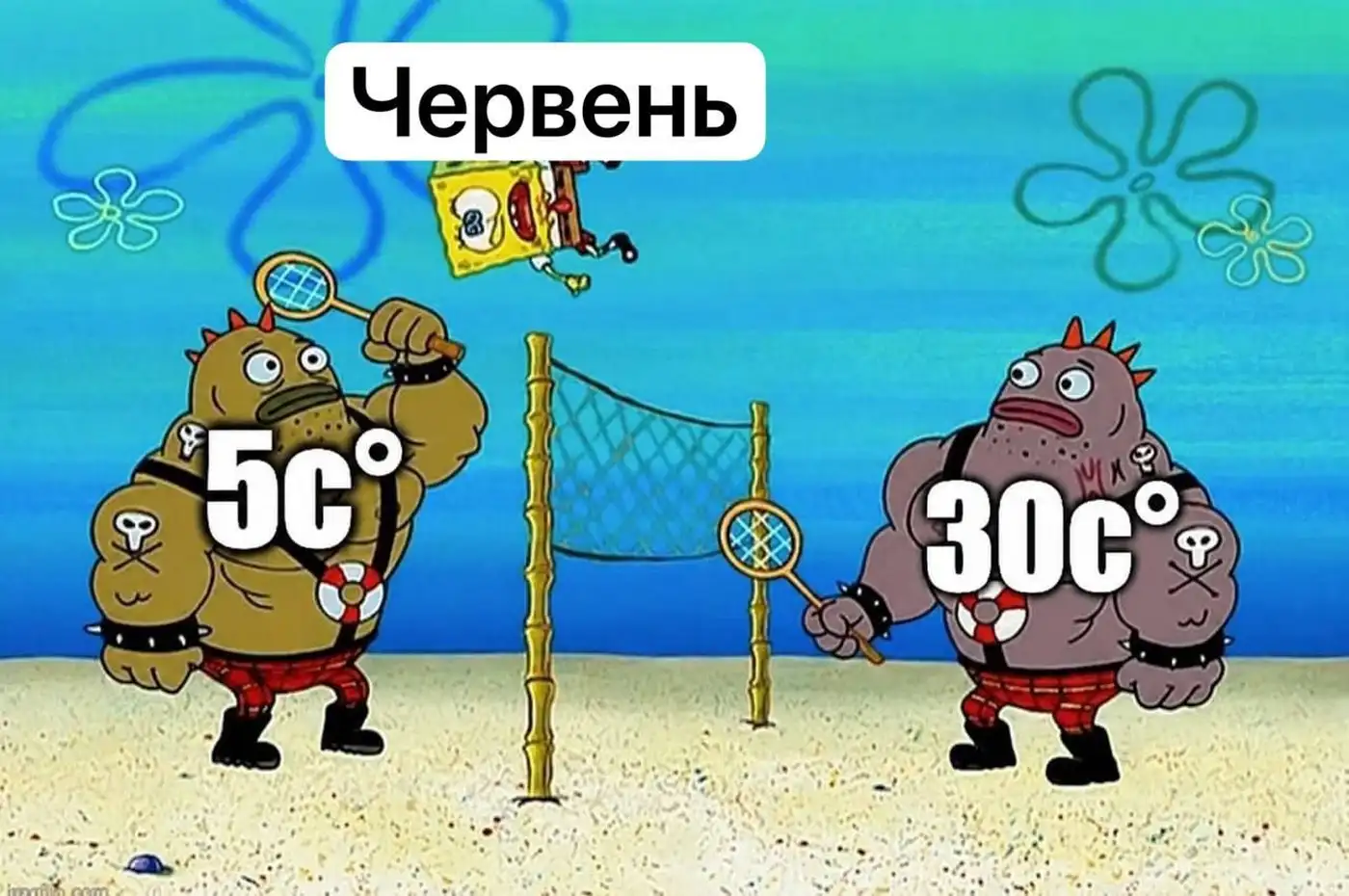 Мемасики Четверга 04.06.2026