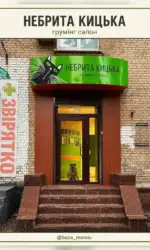 gruming salon dlya nebritoї kiczki z ohoronoyu msg 3017