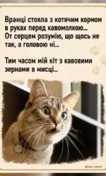 Мемасики Вторника 21.07.2026 18 kit iz kavovimi zernami v misczi msg 3121
