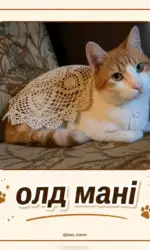 kit u stili old mani msg 2980