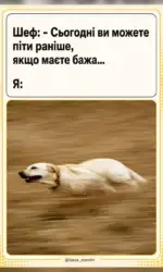 Мемасики Вторника 21.07.2026 19 koli bos kazhe mozhna jti ranishe msg 3132