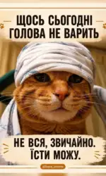 koli golova ne varit ale їsti mozhna msg 2994