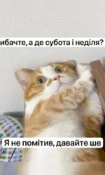 koli vihidni prolitayut nepomitno msg 3023