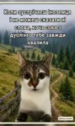 Мемасики Вторника 21.07.2026 23 koli zlyakaєshsya inozemczya hoch i vchiv duolingo msg 3120