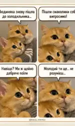Мемасики Вторника 21.07.2026 29 koti pro lyudsku zalezhnist vid holodilnika msg 3122